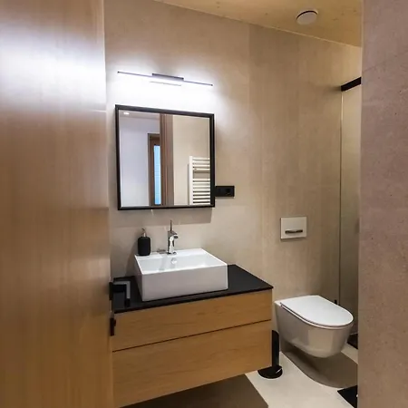 V22 - Premium Apartements アパート リュブリャナ