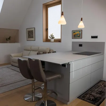 V22 - Premium Apartements * リュブリャナ